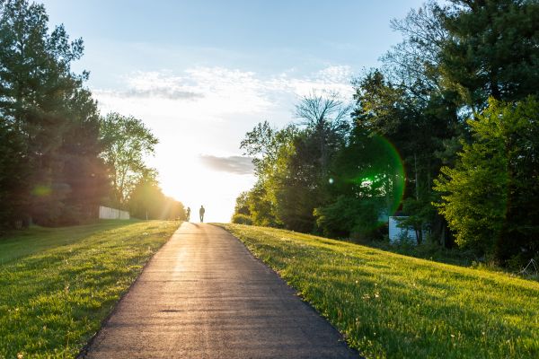 Cost of Asphalt Pathway Installation in Visalia